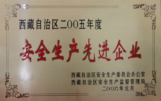 2006安全生產(chǎn)先進企業(yè)