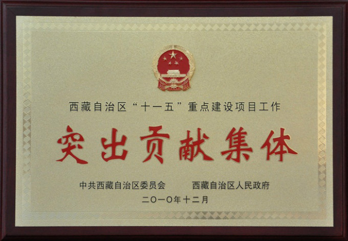 2010西藏自治區(qū)“十一五”重點建設項目工作突出貢獻集體